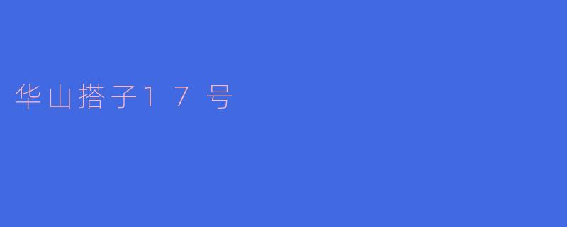 华山搭子17号