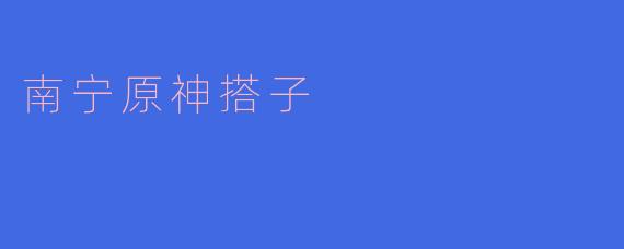 南宁原神搭子