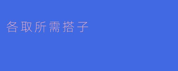 什么是“各取所需搭子”?****