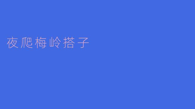 夜爬梅岭搭子