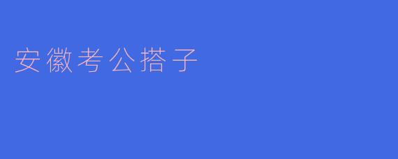 安徽考公搭子的珍贵伙伴关系