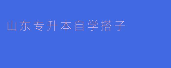 山东专升本自学搭子是什么，有什么好处？**