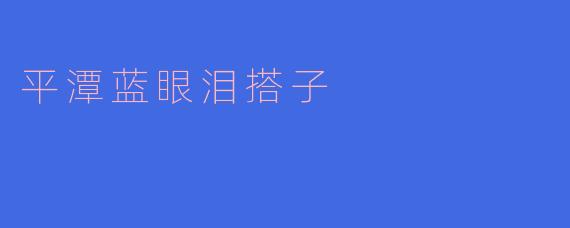 平潭蓝眼泪搭子