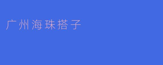 什么是广州海珠搭子?
