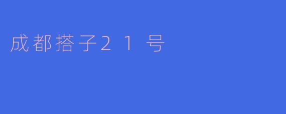 成都搭子21号是什么?