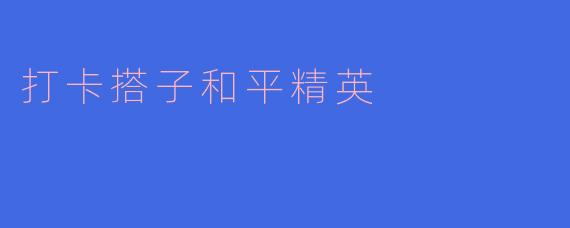 打卡搭子和平精英