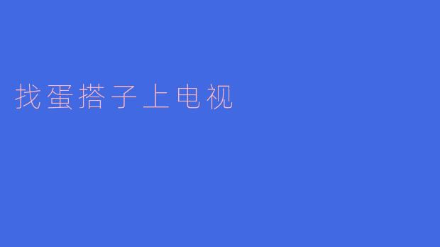 找蛋搭子上电视