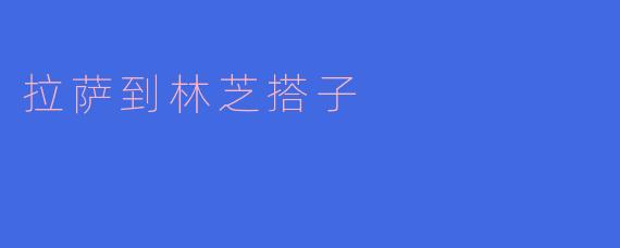 从拉萨到林芝的搭子有哪些选择，车程大约多长？