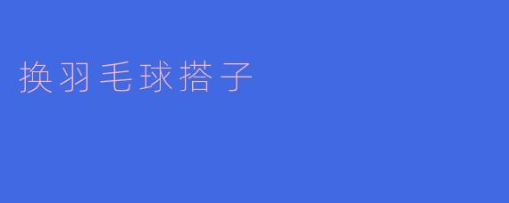 换羽毛球搭子,开启全新运动旅程