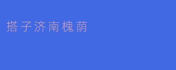 搭子济南槐荫