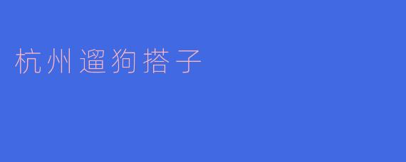 ### 杭州遛狗搭子：城市生活的新风尚