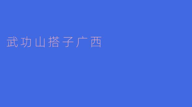 武功山搭子广西的活动主要有哪些内容？