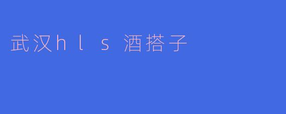 武汉的HLS酒搭子是什么？