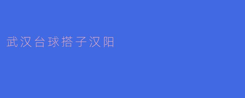 武汉台球搭子汉阳:一座台球爱好者的乐园