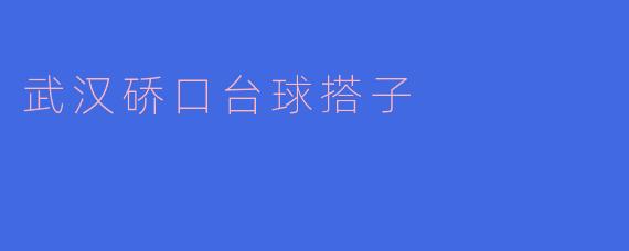 ### 武汉硚口台球搭子：聚焦城市中的友谊与竞技