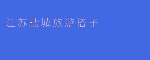 ### 探索江苏盐城的魅力——旅游搭子的完美选择