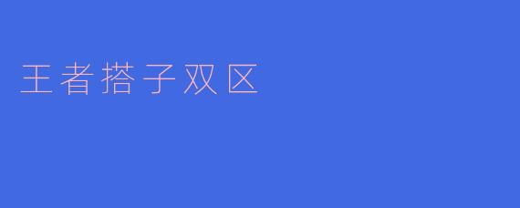 王者搭子双区