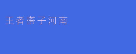 王者搭子河南