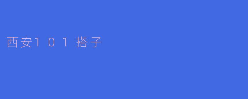 西安101搭子是什么?