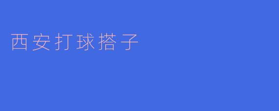 寻找西安打球搭子：一起挥洒汗水的乐趣
