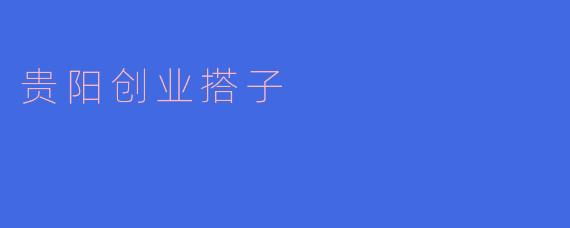 贵阳的创业搭子平台是如何帮助创业者的？