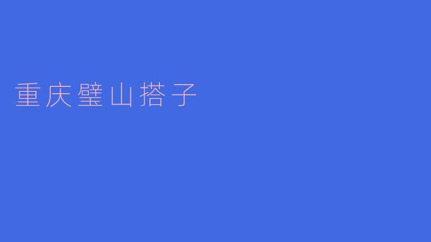 重庆璧山搭子