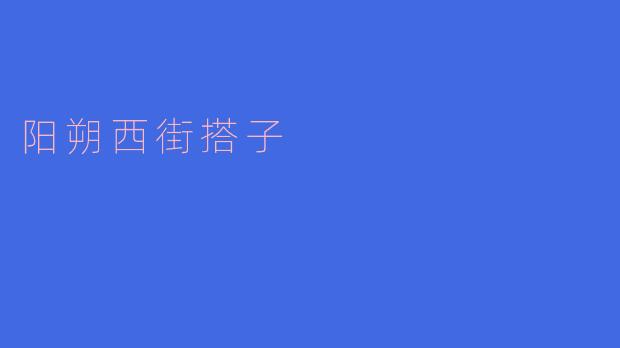 阳朔西街搭子