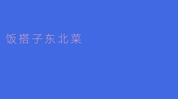 ### 探寻“饭搭子”中道地东北菜的美味