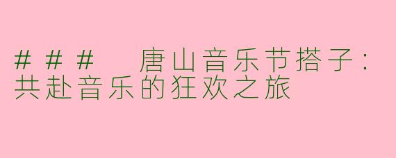 ### 唐山音乐节搭子：共赴音乐的狂欢之旅