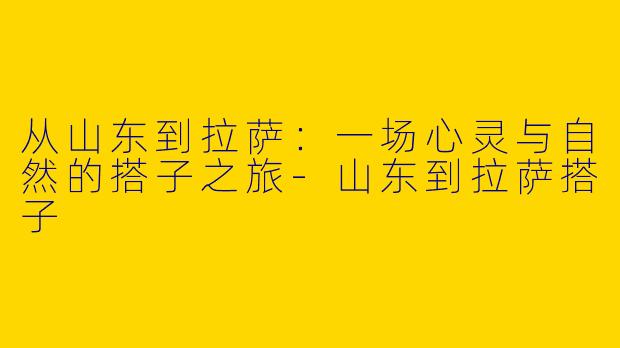 从山东到拉萨:一场心灵与自然的搭子之旅