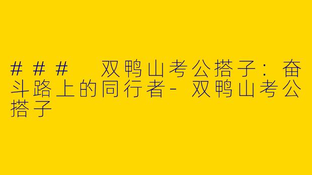 ### 双鸭山考公搭子：奋斗路上的同行者-双鸭山考公搭子