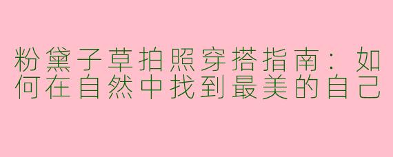 粉黛子草拍照穿搭指南：如何在自然中找到最美的自己
