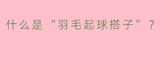 什么是“羽毛起球搭子”？  