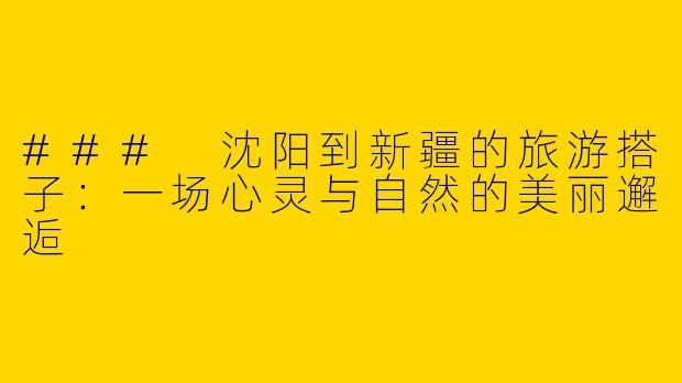### 沈阳到新疆的旅游搭子：一场心灵与自然的美丽邂逅
