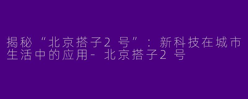 揭秘“北京搭子2号”：新科技在城市生活中的应用-北京搭子2号