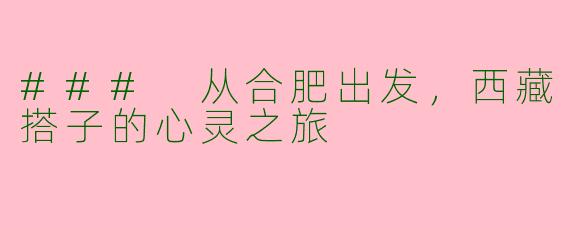 ### 从合肥出发，西藏搭子的心灵之旅