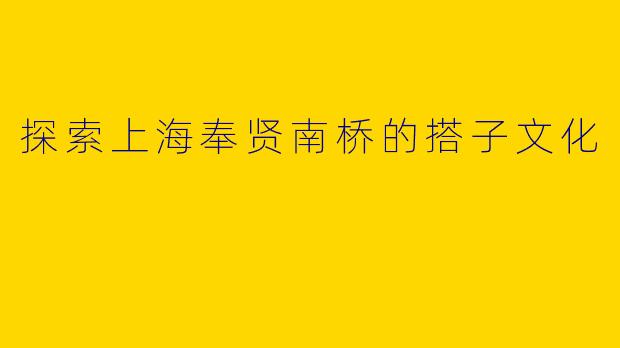 探索上海奉贤南桥的搭子文化