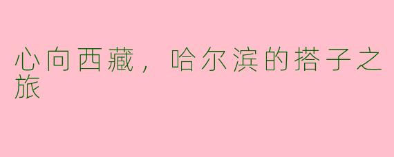 心向西藏，哈尔滨的搭子之旅