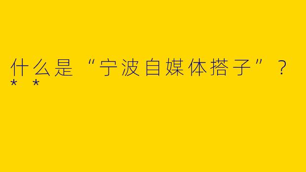 什么是“宁波自媒体搭子”？**