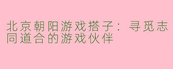 北京朝阳游戏搭子：寻觅志同道合的游戏伙伴