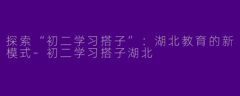 探索“初二学习搭子”:湖北教育的新模式
