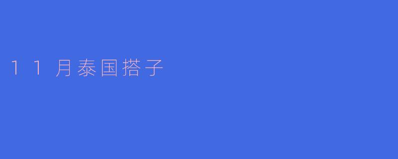 11月去泰国旅游，有什么推荐的搭子活动吗？