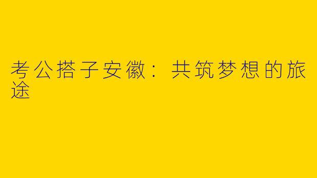 考公搭子安徽：共筑梦想的旅途