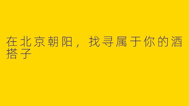 在北京朝阳，找寻属于你的酒搭子