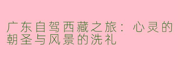 广东自驾西藏之旅：心灵的朝圣与风景的洗礼