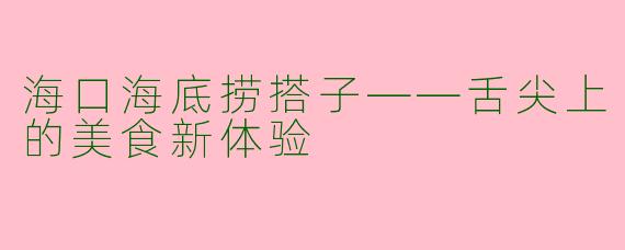 海口海底捞搭子——舌尖上的美食新体验
