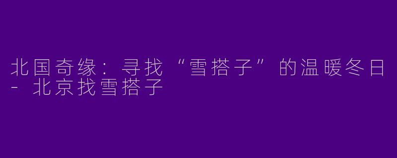 北国奇缘：寻找“雪搭子”的温暖冬日-北京找雪搭子
