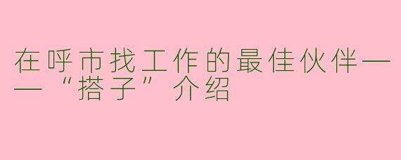 在呼市找工作的最佳伙伴——“搭子”介绍