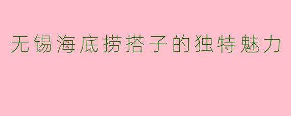无锡海底捞搭子的独特魅力