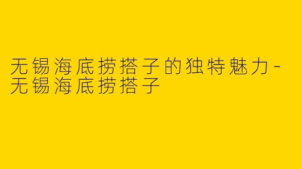 无锡海底捞搭子的独特魅力
